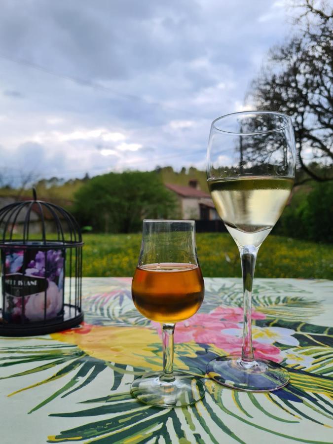 La Perle De Frayssinet-Le-Gelat - Chambre D'Hotes - B&B エクステリア 写真